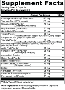 Ayurvedic Complex